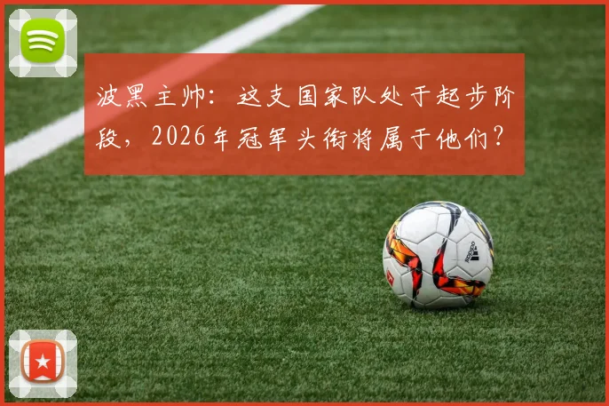 波黑主帅：这支国家队处于起步阶段，2026年冠军头衔将属于他们？球迷深度讨论